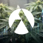 Tilray Aktie: Bilanz am 28. Juli
