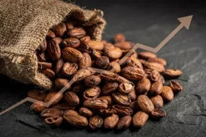 WisdomTree Cocoa 2x: Futures 2,2 Prozent Rutsch