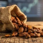 WisdomTree Cocoa 2x: Kakaopreis bei 5.330 Dollar