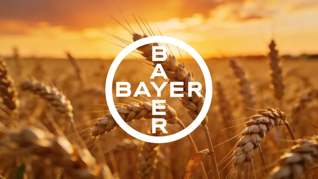 Bayer Aktie: Klimaresistentes Weizensaatgut als Milliarden-Chance Bayer Aktie - Beitragsbild