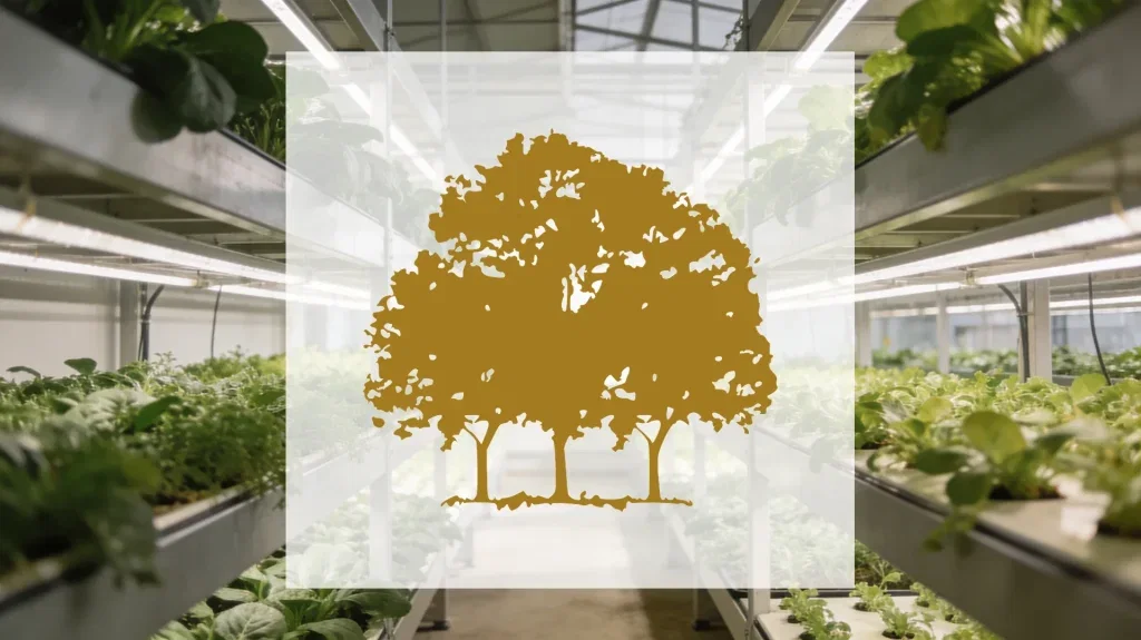 Canopy Growth Aktie - Beitragsbild
