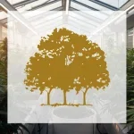 Canopy Growth Aktie: 13 Prozent Umsatzwachstum in Q1