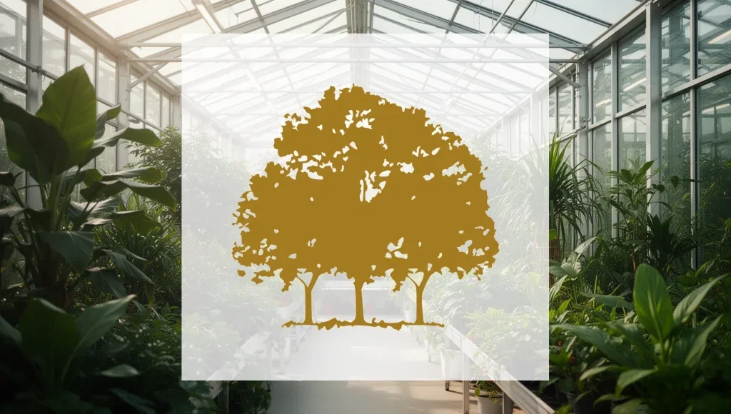 Canopy Growth Aktie: Nettoverlust um 68 Prozent gesunken Canopy Growth Aktie - Beitragsbild
