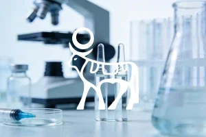 Novo Nordisk Aktie: Kippt die Konkurrenz das Comeback-Szenario?