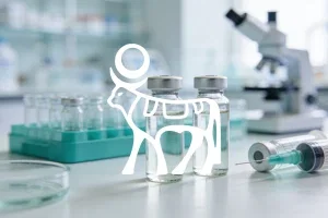 Novo Nordisk vor der Weichenstellung: Kann CagriSema den Zweifel entkräften?