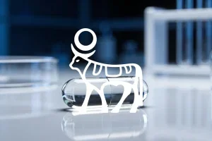 Novo Nordisk Aktie: Wegovy-Pillenstudie mit 450 Teilnehmern