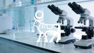 Novo Nordisk Aktie: H1 übernimmt StudyHub-Rechte