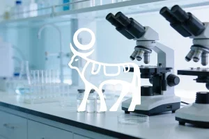 Novo Nordisk Aktie: H1 übernimmt StudyHub-Rechte