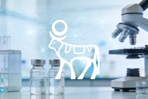 Novo Nordisk Aktie: China akzeptiert Wegovy-Pillenantrag