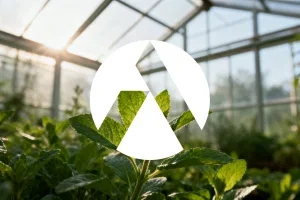 Tilray Aktie: DEA-Urteil am 17. August