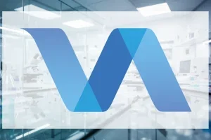Valneva Aktie: Pfizer-Partner VLA15 im Fokus