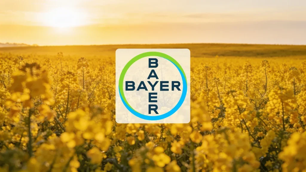 Bayer Aktie: Winterraps als Wetten auf Biokraftstoff Bayer Aktie - Beitragsbild (KI-generiertes Symbolbild)