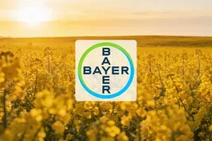 Bayer Aktie: Winterraps als Wetten auf Biokraftstoff