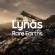 Lynas Rare Earths: Branchendruck erklärt Bewegung